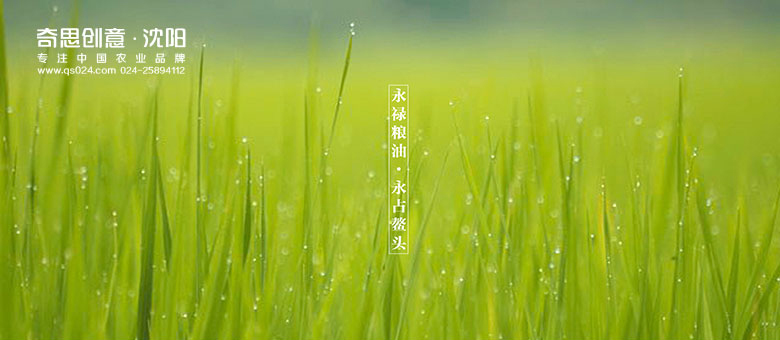 專業(yè)大米包裝品牌策劃設(shè)計(jì),專業(yè)大米標(biāo)識設(shè)計(jì),沈陽奇思創(chuàng)意